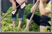 娱乐八卦吃瓜群众的,揭秘吃瓜群众的八卦盛宴